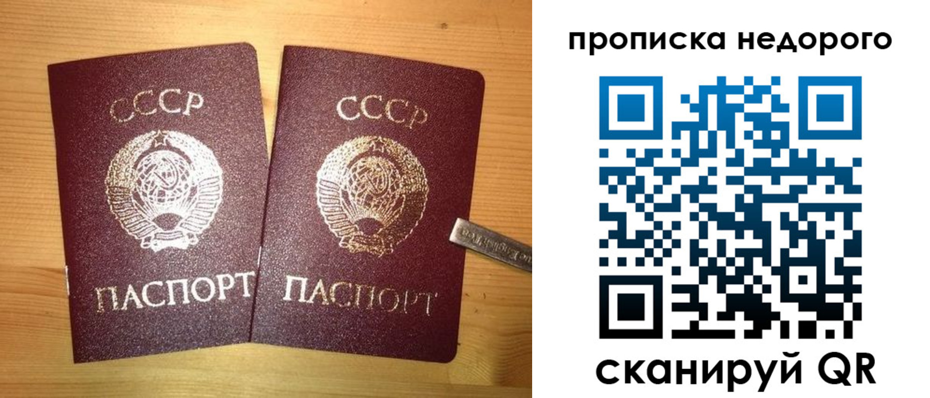 временная регистрация гарантия в Волгодонске